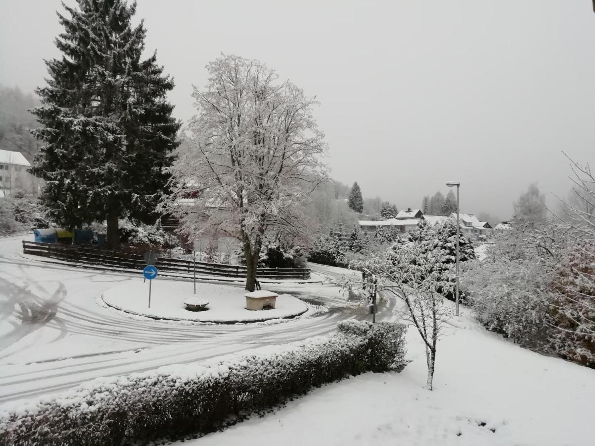 Schoene Aussicht Wieda Walkenried Kültér fotó